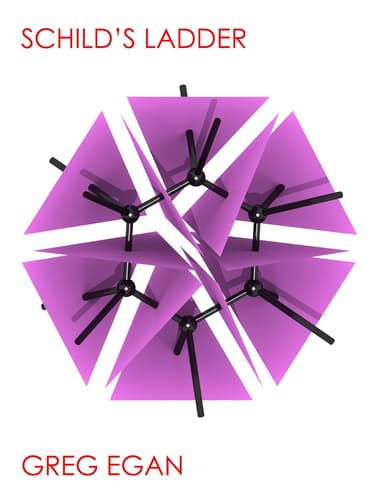 Cover of Schild's Ladder