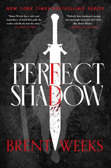 Cover of Perfect Shadow