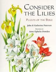 Cover of Consider the lilies
