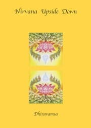 Cover of Nirvana Upside Down