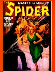 Cover of The Spider