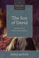 Cover of Son of David