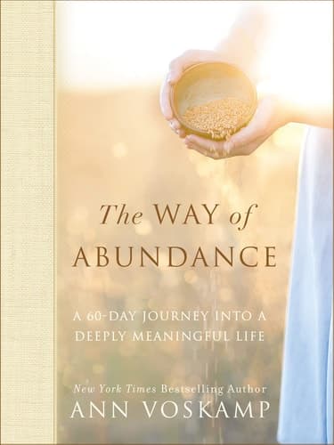 Cover of Way of Abundance