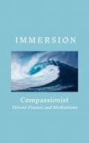 Cover of Immersion