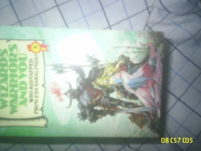 Cover of Wizards Warriors and You Who Kidnapped Princess Saralinda Book 3