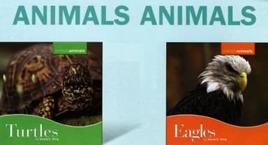 Cover of Animals Animals Group 9