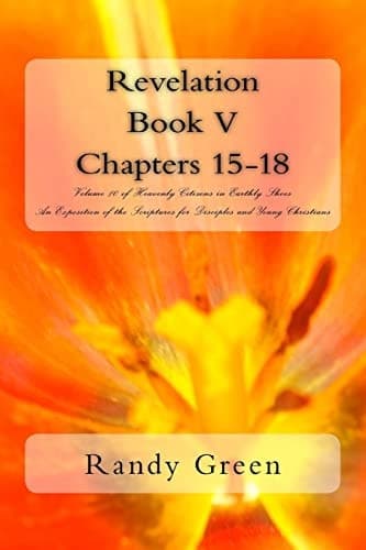 Cover of Revelation Book V : Chapters 15-18