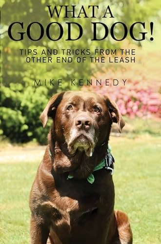 Cover of What a Good Dog! Tips and Tricks from the Other End of the Leash