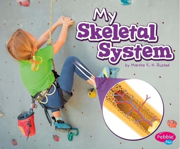 Cover of My Skeletal System