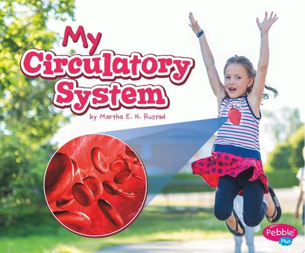 Cover of My Circulatory System