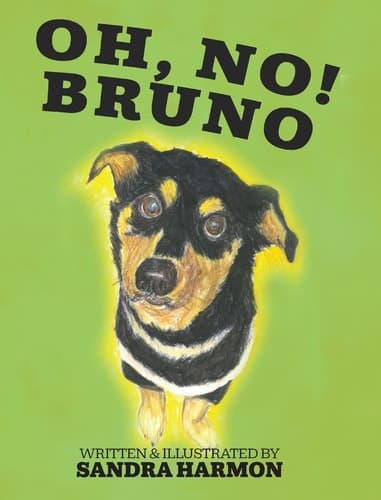 Cover of Oh, No! Bruno